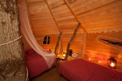 cabanes dans les arbres