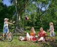 Bois du camping