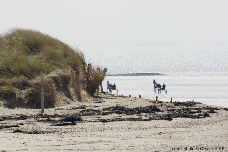 St-Pair-sur-Mer, sulky au 300 à Kairon-plage