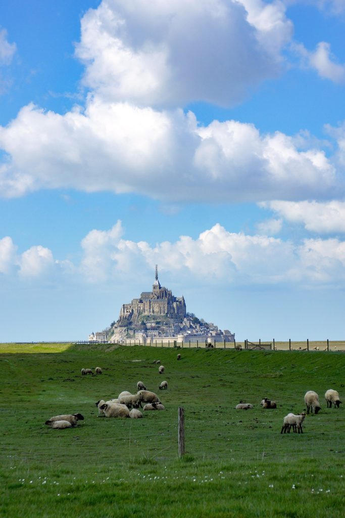 prés salés et mont saint michel