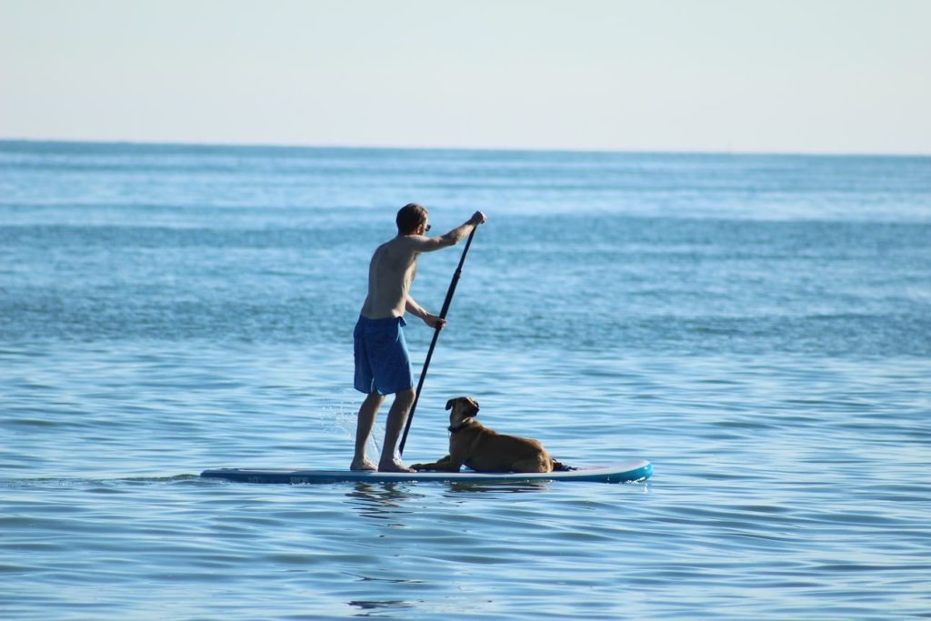 vacances chien normandie