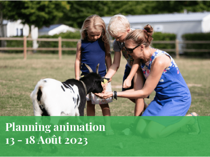 Programme des animations et activités du 13 au 18 Août
