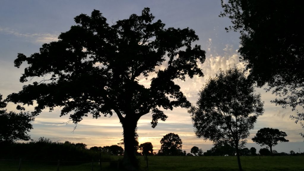 coucher de soleil cabane dans les arbres