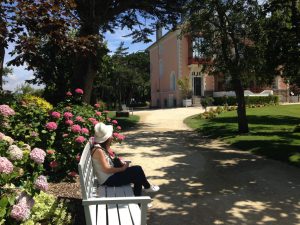 Jardins maison C. Dior