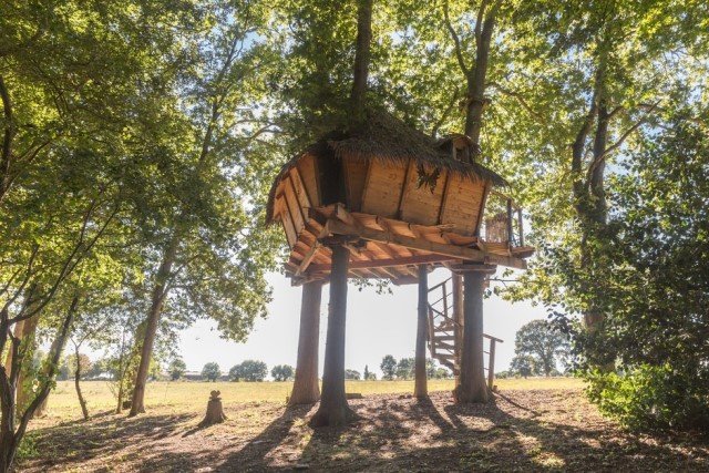 cabane dans les arbres normandie