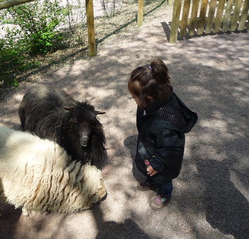 Zoo champrepus normandie