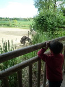 Zoo de Champrépus