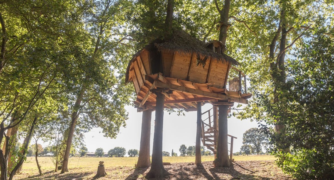 Baumhaus Schmetterling, eine Nacht im Bäumen mit Frühstück - cabane dans les arbres – séjour insolite en Normandie