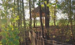 Boomhut Butterfly, een nacht slapen in de bomen met ontbijt