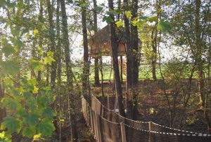 cabane perchée petit déjeuner