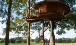 Dam’oiseaux treehouse: unusual stay in a treehouse as a couple of family