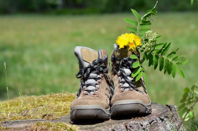 chaussures randonnée campagne