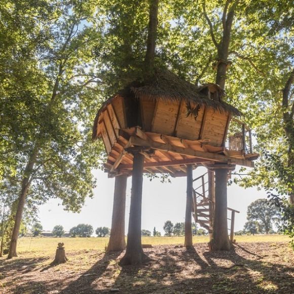 Les cabanes dans les arbres