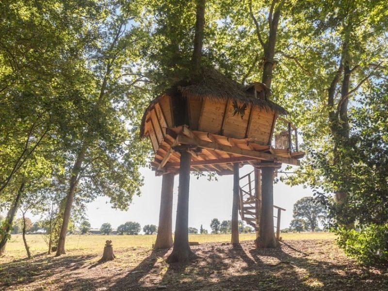 Séjour insolite en cabane dans les arbres à Granville, Manche