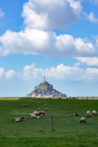 prés salés et mont saint michel