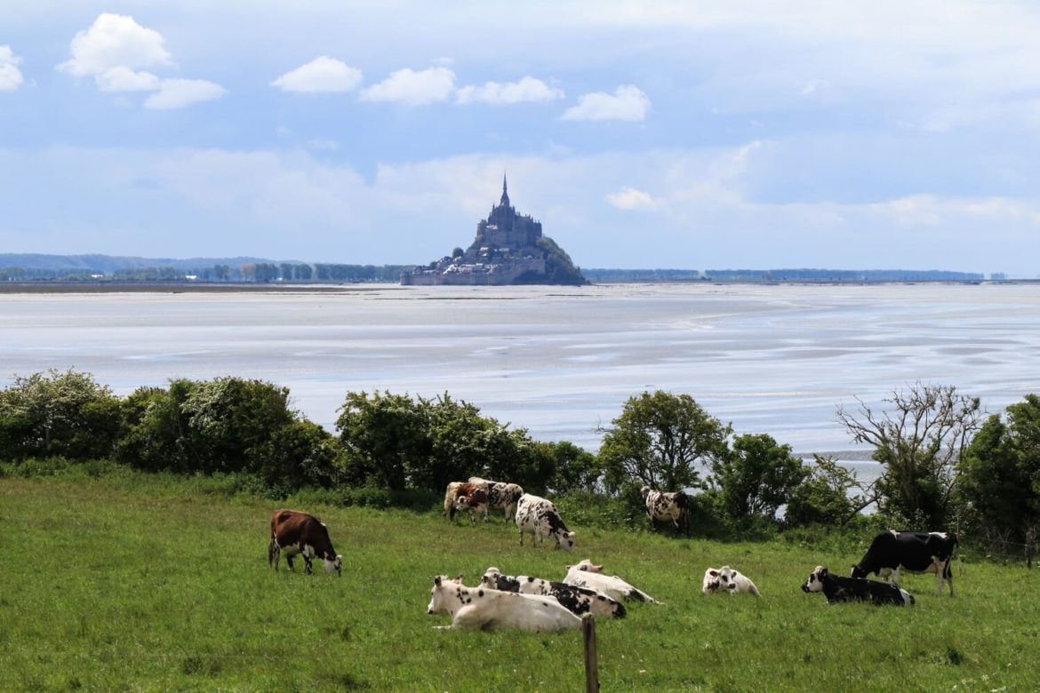 Quand et comment visiter le Mont Michel en 2023 ?