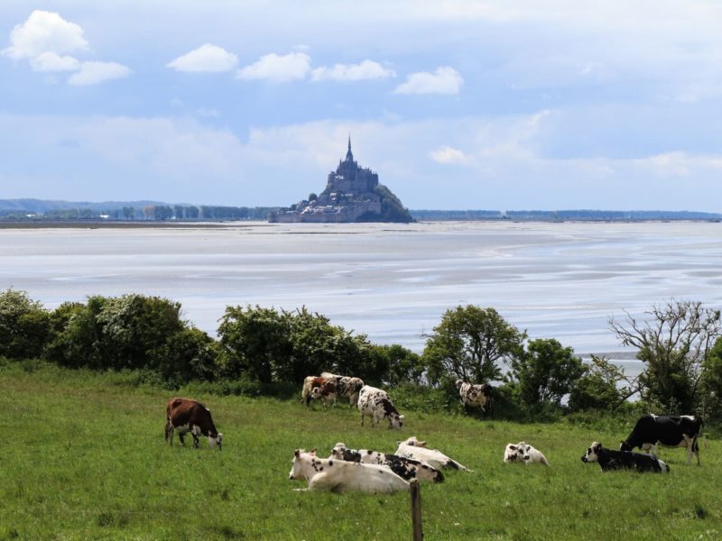 Quand et comment visiter le Mont Michel en 2025 ?
