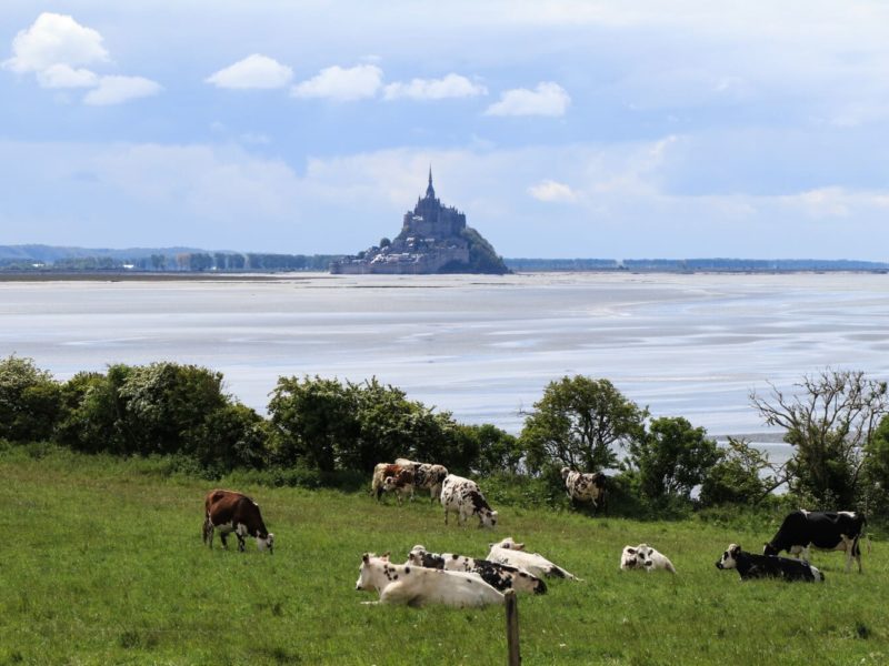 Quand et comment visiter le Mont Michel en 2023 ?