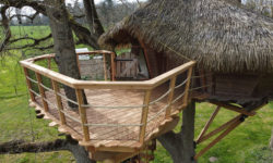 Dam’oiseaux treehouse: unusual stay in a treehouse as a couple of family