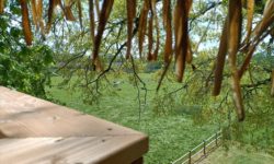 Boomhut Dam’oiseaux: origineel verblijf in de bomen voor 2 pers. of gezin