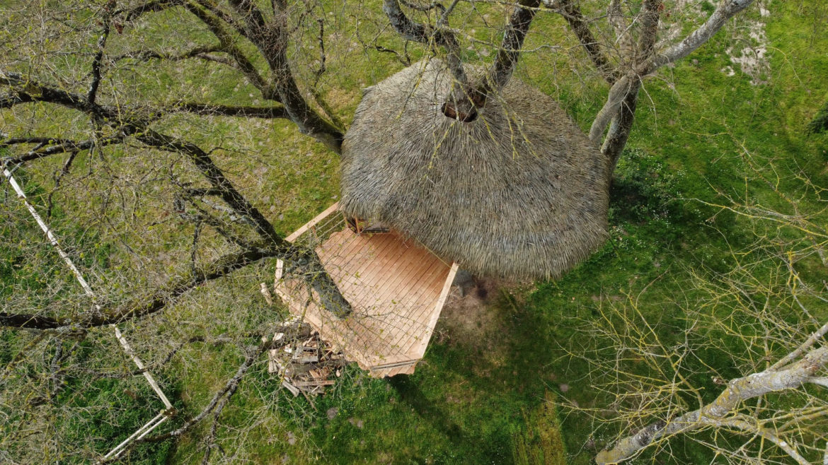 Dormir au cœur de la nature en cabane dans les arbres en Normandie