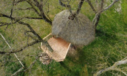 Das Baumhaus Frau Vogel: orignale Unterkunft im Bäumen für 2 Personen oder mit Familie