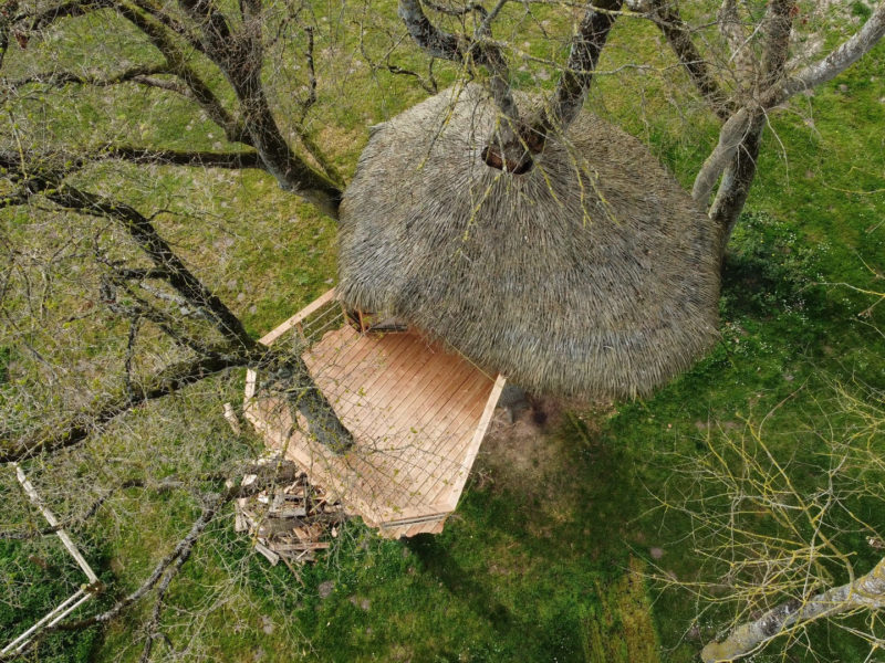 Dormir au cœur de la nature en cabane dans les arbres en Normandie