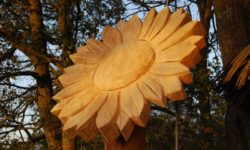 La cabane Butterfly, une nuit dans les arbres, petit-déjeuner livré au pied de l’arbre