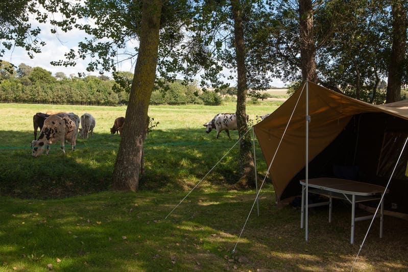 Emplacement-de-camping-standard-camping-5-etoiles-avec-piscine-couverte