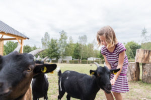 enfant nourrir soin chevre ferme