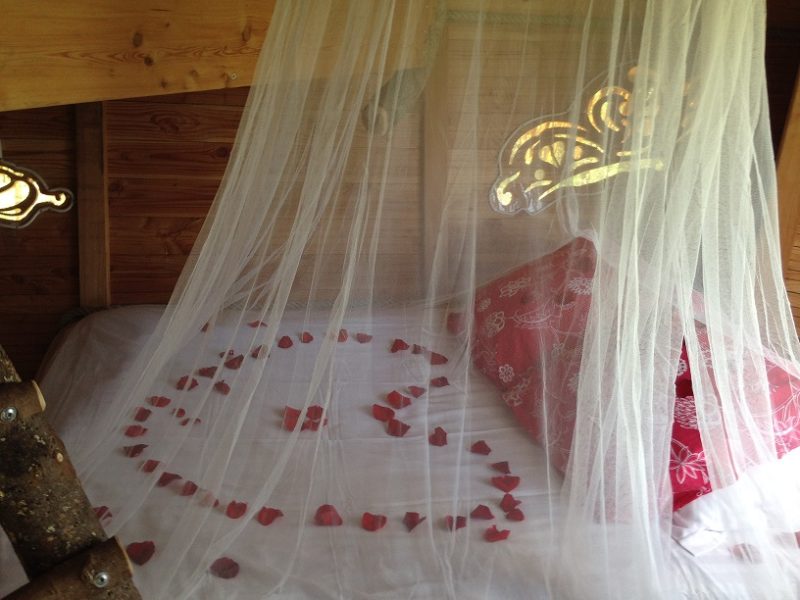 Offrez un cadeau unique et original pour la Saint Valentin : une nuit en cabane dans les arbres en amoureux