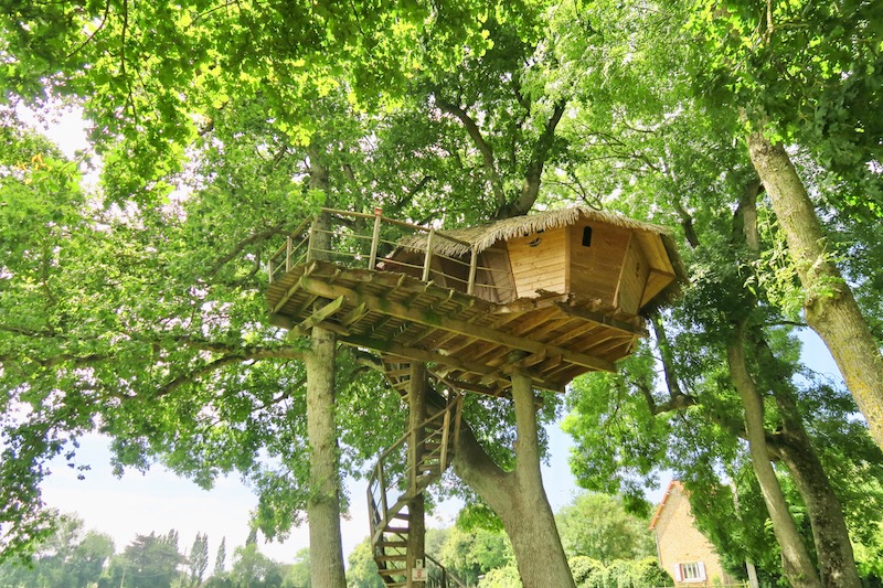 Cabane en bois perchée