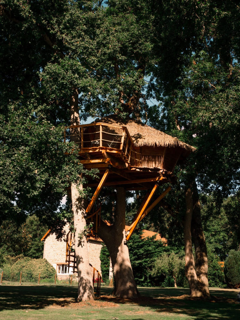 cabane perchée dans un chêne