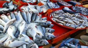 étal poisson peche marché