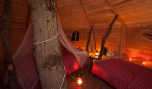 cabane dans les arbres nuit romantique