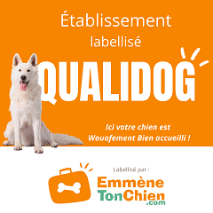 Emmène ton chien