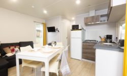 Large Chausey Premium Mobile-home, family rental in Saint Pair sur mer