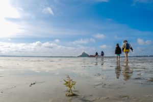 traversée baie du mont saint michel