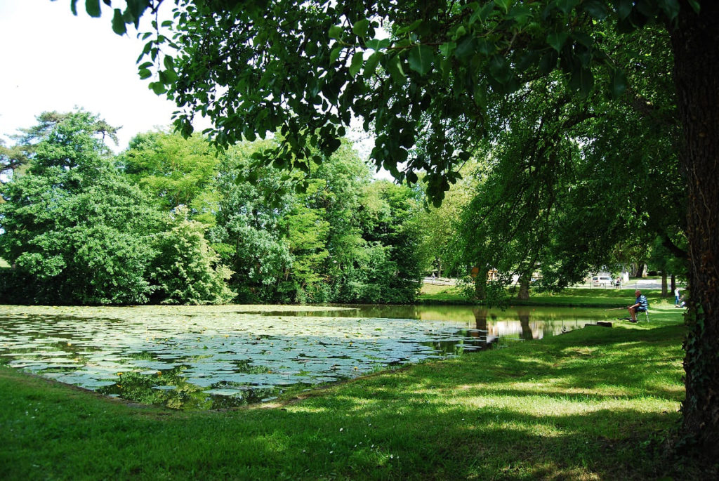 pêche au camping