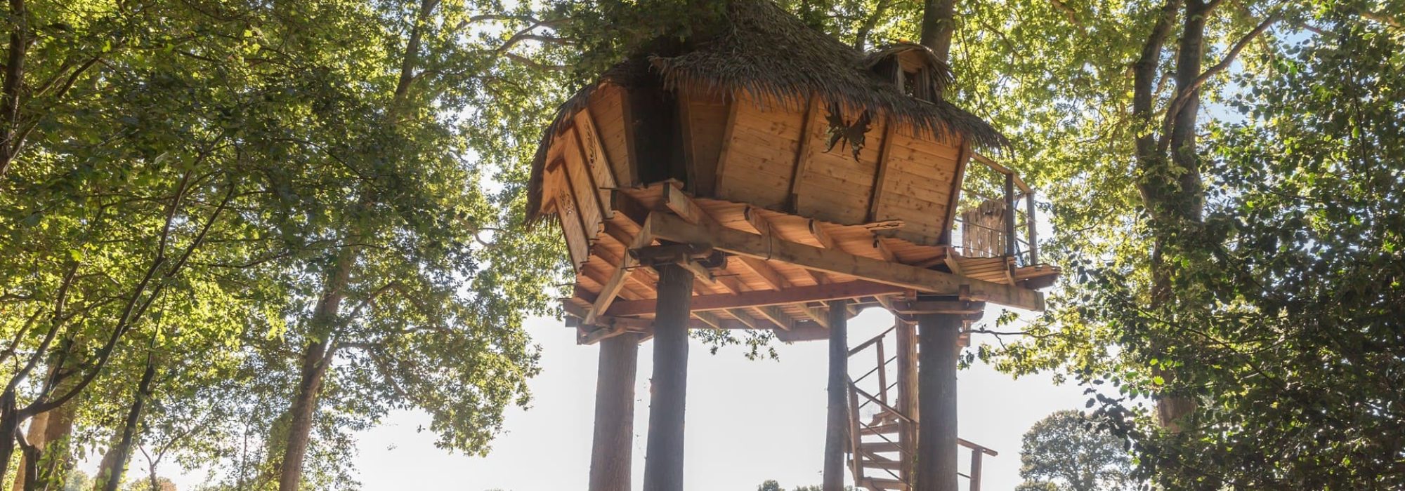 Alternative accommodation